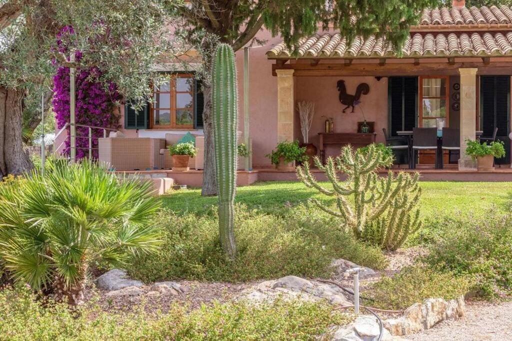 In With Passion And Care In Every Detail By Renthousing Villa